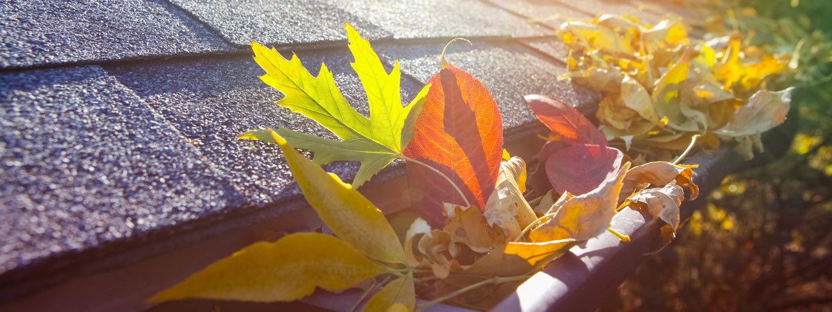 Guttering blocked with autumn leaves